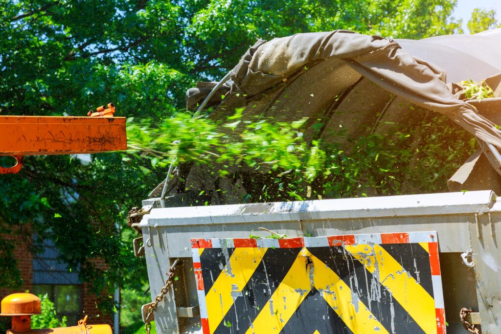 tree removal service